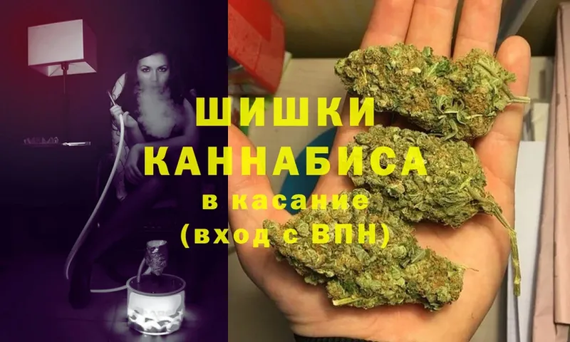 магазин продажи   shop какой сайт  Конопля индика  Щигры 